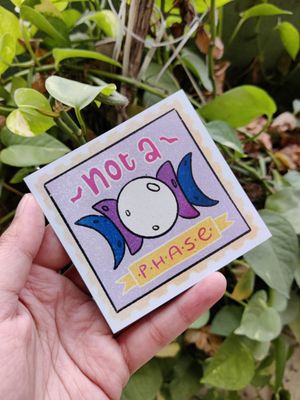 Not a phase fridge magnet